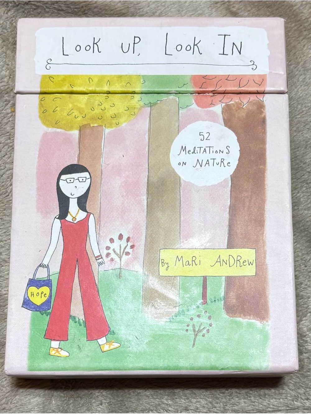 Look Up, Look In Boxed Set - Illustrated Nature Meditations